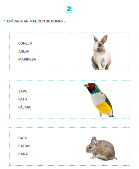 Animal 1: Conejo, abeja o mariposa.
Animal 2: Sapo, pato o pájaro.
Animal 3: Gato. ratón o rana.