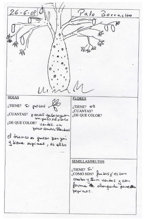 Ficha con registros de un palo borracho.