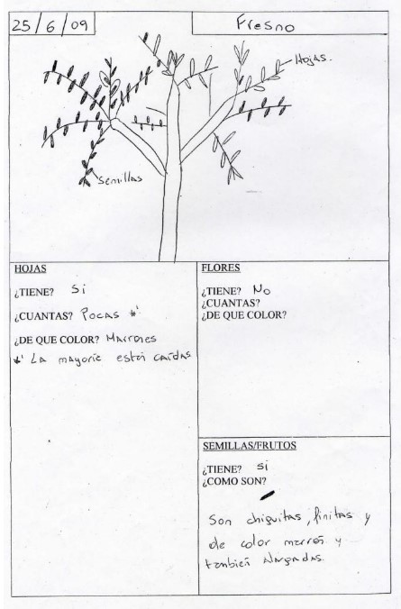 Ficha con registros de un fresno.